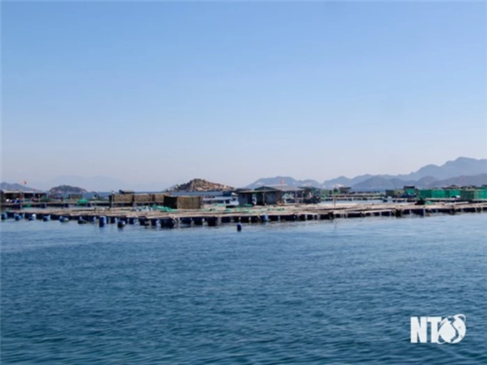 Tín hiệu tích cực trong khai thác và nuôi trồng thủy sản