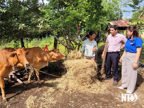 Quan tâm bố trí nguồn vốn ủy thác  từ ngân sách địa phương