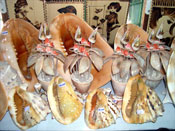 Nghề truyền thống mỹ nghệ hải sản xuất khẩu Nha Trang bao giờ...