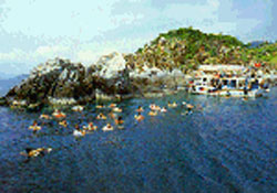 Khu bảo tồn biển Hòn Mun, Khánh Hòa.