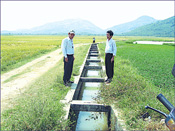 Một số chính sách mới có hiệu lực từ tháng 1-2013