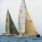 Sẽ tổ chức đua thuyền buồm trên vịnh Nha Trang