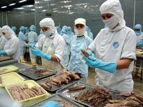 Triển khai thực hiện quy chế chứng nhận thủy sản khai thác xuất khẩu vào thị trường châu Âu