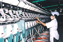 Kim ngạch xuất khẩu giảm, nhập khẩu tăng