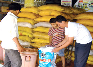 Giá nhiều loại phân bón đang giảm.