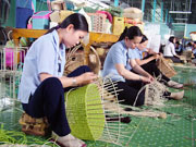 Các DNNVV đang từng bước mở rộng đầu tư, thu hút nhiều lao động để đứng vững trên thị trường.