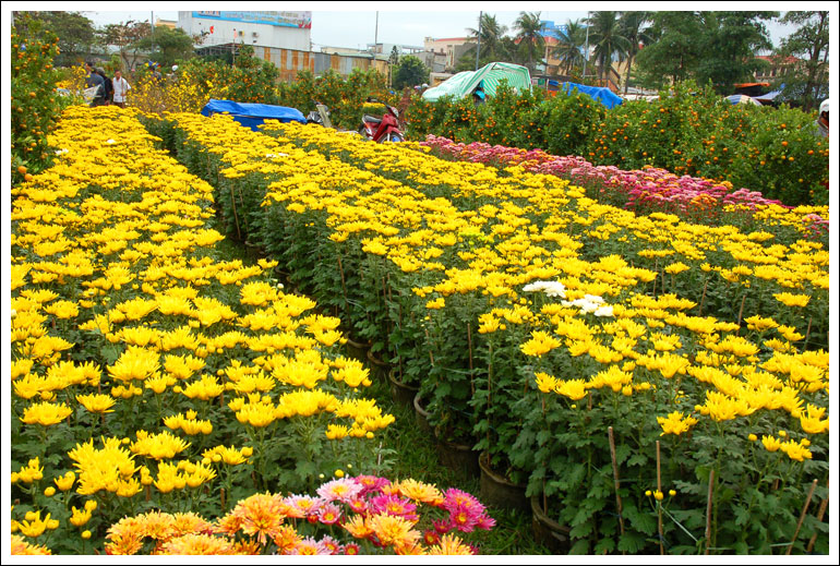 Làm việc với lãnh đạo các huyện, thị, thành ủy về công tác chuẩn bị Tết năm 2012