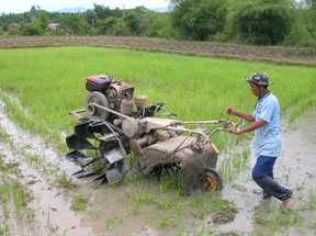 Ưu tiên vốn cho sản xuất nông nghiệp