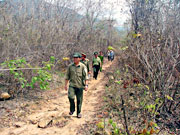 Đoàn kiểm tra liên ngành kiểm tra công tác phòng, chống cháy rừng ở xã Ninh Tây.
