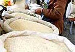 Giá gạo giảm bình quân 1.000 đồng/kg