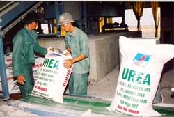 Không thể thả nổi thị trường phân bón
