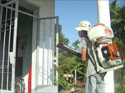 Tập trung nguồn lực, xử lý kịp thời các ổ dịch sốt xuất huyết