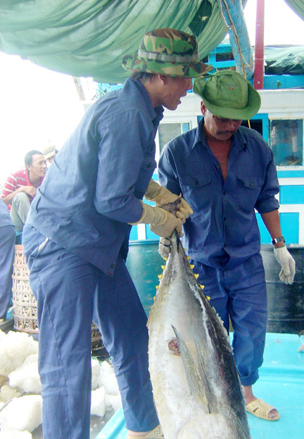 Khai thác thủy sản đạt hiệu quả cao