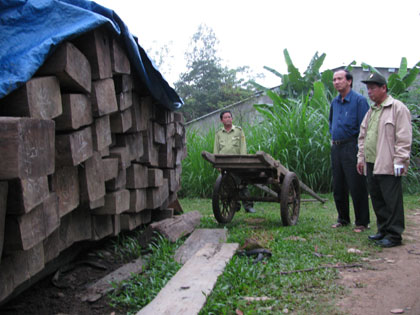 Các loại gỗ nhóm IA là tang vật xử lý tịch thu chỉ được xuất khẩu ở dạng đồ mộc hoàn chính.