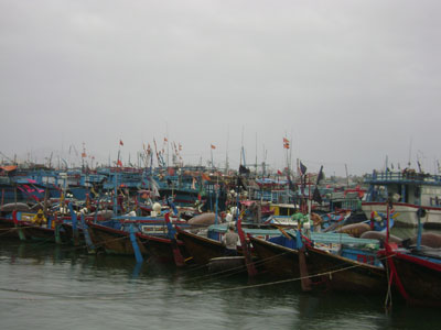 Huyện Ninh Hòa (Khánh Hòa) thiệt hại khoảng 30 tỷ đồng