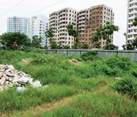 Vi phạm hành chính về đất đai bị phạt tới 500 triệu đồng