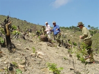 Ưu đãi vay vốn Chương trình hỗ trợ giảm nghèo nhanh và bền vững