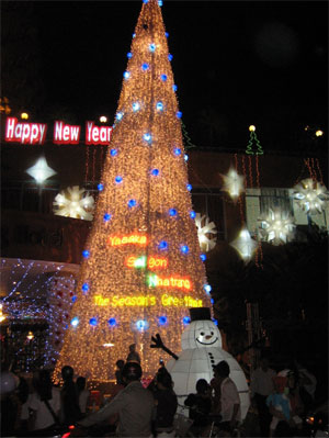 Cây thông Noel đã được thắp sáng.