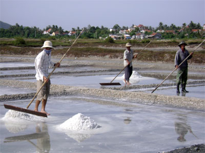 11 tháng: Sản lượng muối hạt đạt gần 16.000 tấn