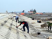 Hỗ trợ 51 địa phương xử lý đê, kè cấp bách