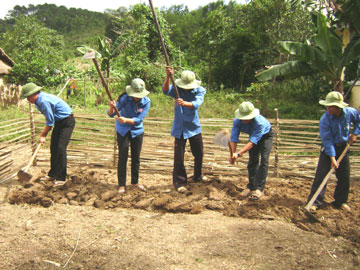 Làm đất trồng rau giúp bà con.