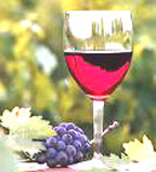 Rượu vang đỏ giúp ngừa sâu răng