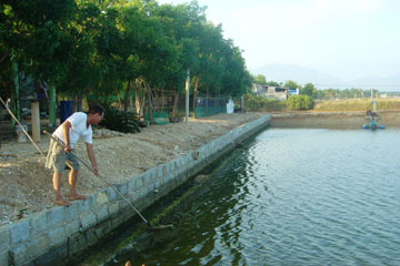 Hiệu quả nhưng chưa bền vững