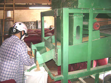 Nhiều mô hình khuyến nông hiệu quả