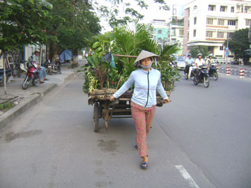 Mưu sinh ở phố
