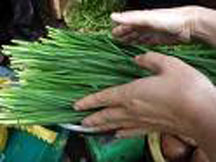 Các vị thuốc từ những cây gia vị