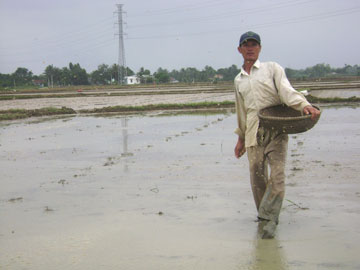 Hạn hán sẽ ảnh hưởng đến vụ Hè - Thu 2010