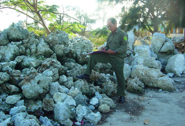 Ngang nhiên khai thác san hô