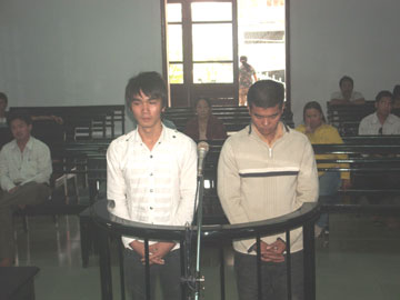 “Nuôi ong tay áo”!