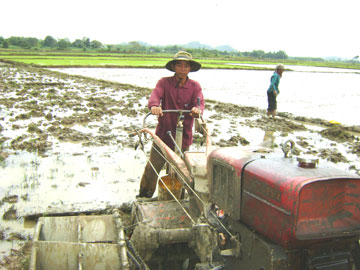 Triệu phú vùng cao