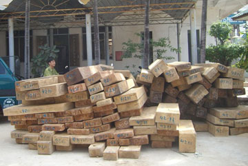 Phát hiện 2 vụ vận chuyển, tàng trữ gỗ hộp