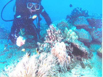 Lặn biển ở Đảo Khỉ