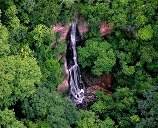 Cường độ khai thác gỗ trong rừng phòng hộ tối đa không quá 20%