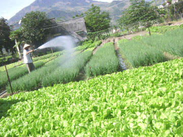 Cần có tầm nhìn xa hơn