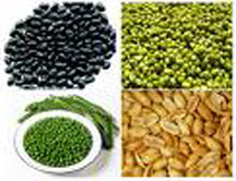 Mách bạn: Làn da của bạn có bị lão hoá nhanh quá không?