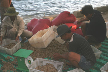 Kinh tế - xã hội tiếp tục tăng trưởng ổn định