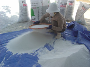 Tất bật… sàng cát cuối năm