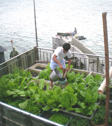 Mưa Trường Sa…!