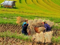 Việt Nam đoạt giải Liên hoan Nhiếp ảnh toàn cầu