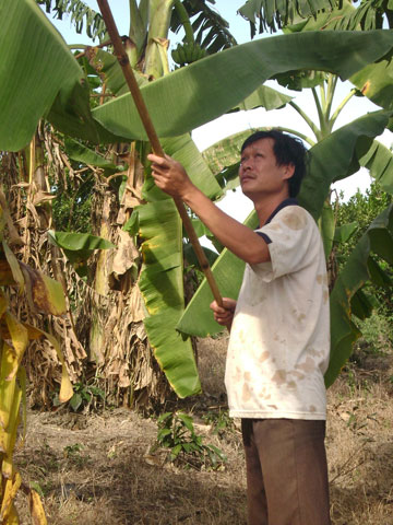 Người ươm mầm trên mảnh đất cằn khô của huyện Khánh Vĩnh (Khánh Hòa)