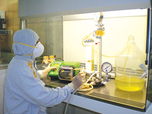 Niềm hy vọng đầu xuân...