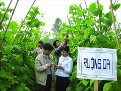 500 trí thức trẻ tình nguyện đến với vùng sâu, vùng xa