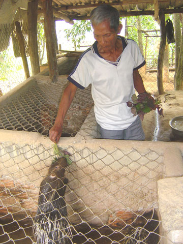 Hứa hẹn đem lại thu nhập cao