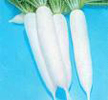 Củ cải chữa ho lâu ngày