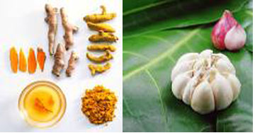 Kinh nghiệm nhỏ chữa đau răng bằng gia vị