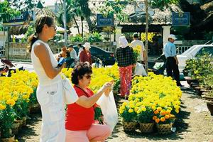 Nghỉ Tết Canh Dần tới 9 ngày